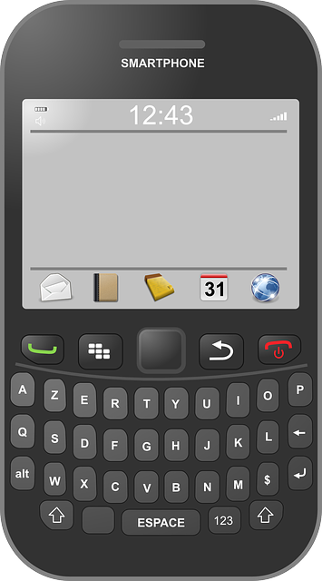 Szkic telefonu BlackBerry