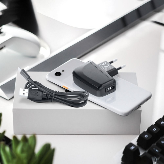 Ładowarka sieciowa do telefonu Blue Star Lite USB A 2A 10W + kabel USB A do USB C TFK-TC-1095B czarna 