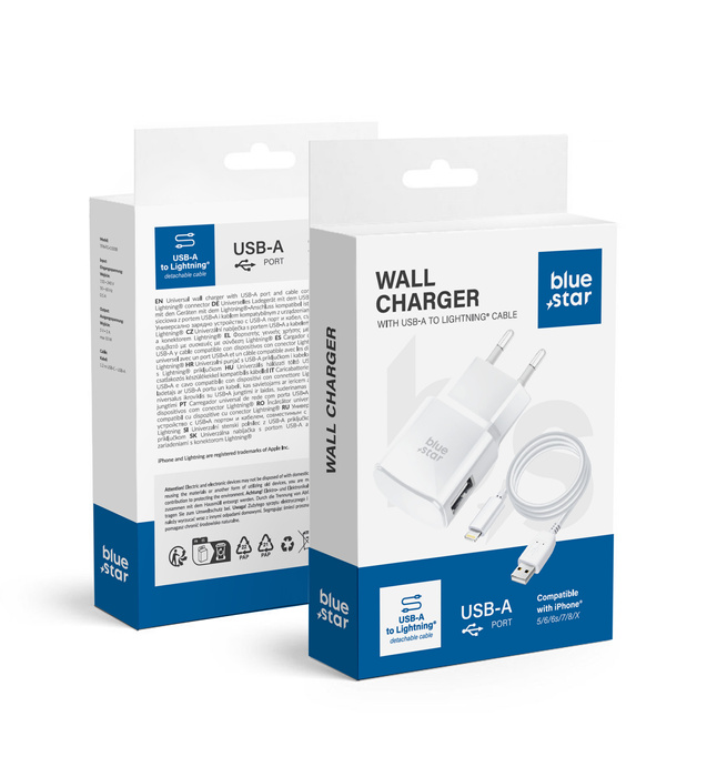 Ładowarka sieciowa do telefonu Blue Star USB A 1A 5W + kabel USB A do Lightning TFK-TC-1100B biała 